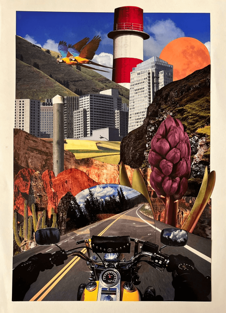 05 (1)